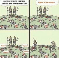 5lnp5NHyfv4.jpg