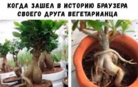 SRtlDoqubXg.jpg