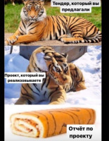 D7vjYMJF93A.jpg