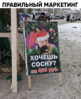 F9547AD5-916B-4774-8D54-4985E3EE05AB.jpeg