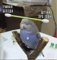 баланс.jpg
