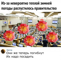 1579284615.jpg