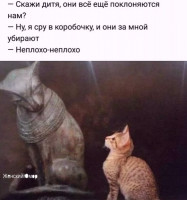 x73OaBnPqTo.jpg