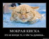 post-246006-1337958594.jpg