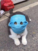 DZ_1tnCh07o.jpg