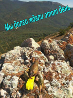 nesIQHjASIs.jpg