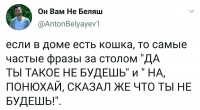 IMG_20200822_124149.jpg