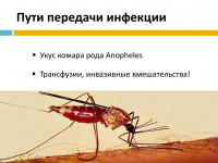 slide-16.jpg