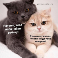 мем.png