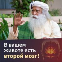 мозг2.png