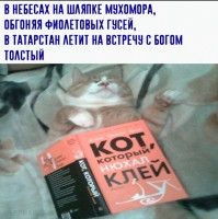 IMG_20220620_151447.jpg
