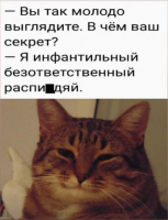 инф.png