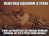 Котис  философствует.jpg