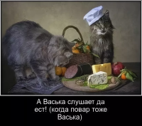 повар.png