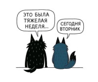 FB_IMG_1760429529683.jpg