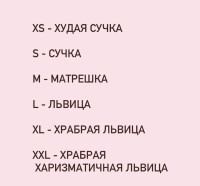 IMG_4727.jpeg