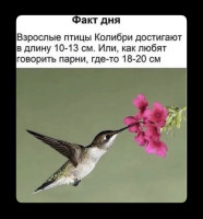 IMG_5654.jpeg