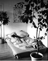 IMG_6244.jpeg