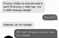 8468.jpg