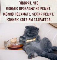 34531520_1656.jpg