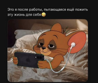IMG_8586.jpeg