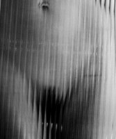 IMG_2567.jpeg