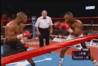 Roy Jones Jr vs Reggie Johnson.gif