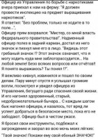 GuzSeu-8W-E.jpg