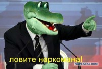 Ловите_наркомана!.jpg