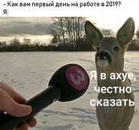 IMG_20190110_095014.jpg