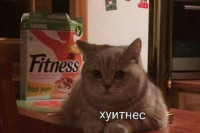GpeKJIDXHS0.jpg