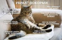 IMG_20190115_114521.jpg